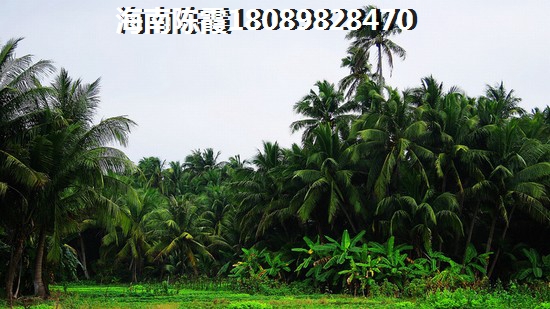 芜湖的房价多少钱一平？1