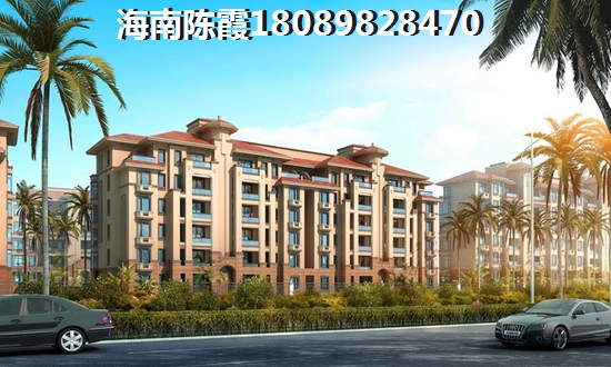 金都檀宫2024年适合买4
